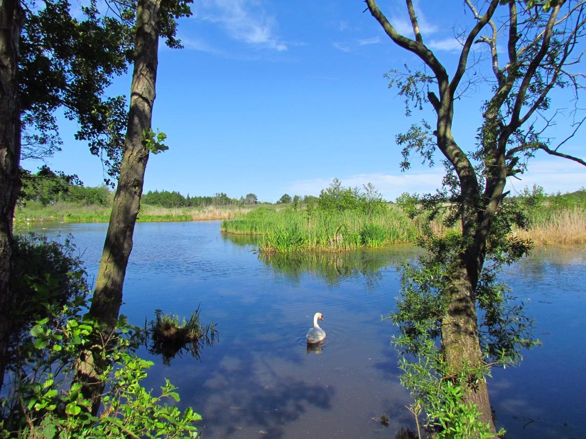 Ow Podczele Ii Ferienpark