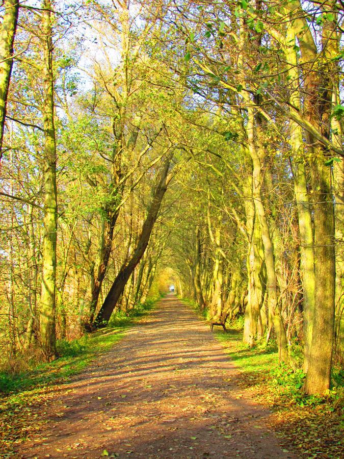 Ow Podczele Ii Ferienpark *