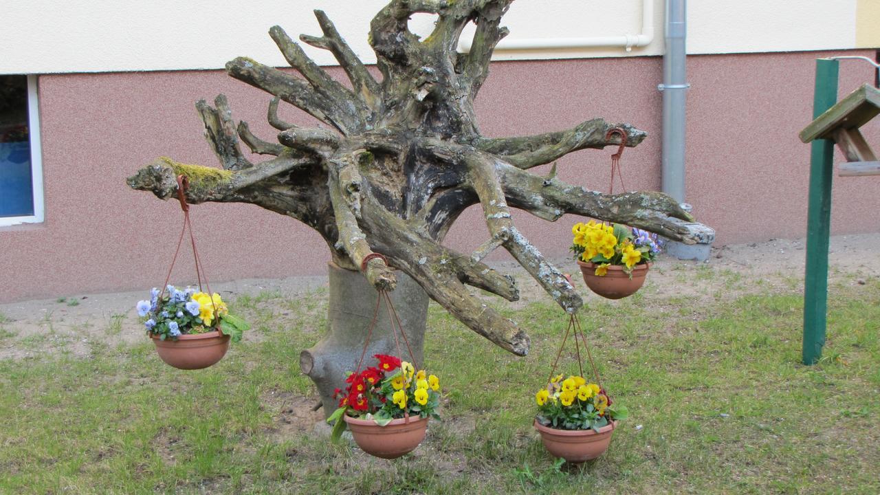 Ow Podczele Ii Ferienpark
